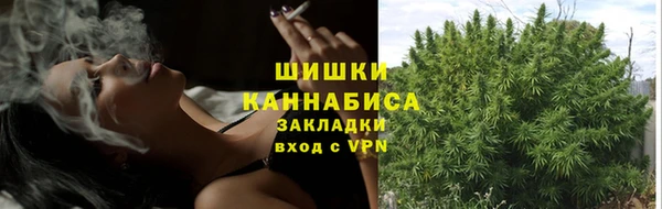 гидропоника Кукмор