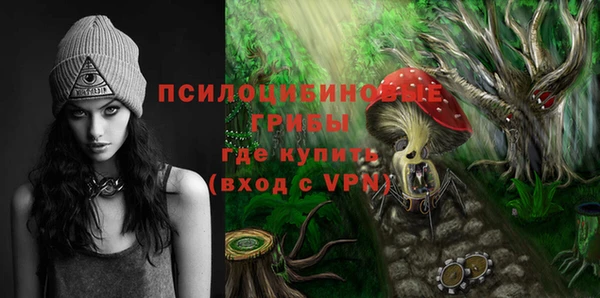 гидропоника Кукмор