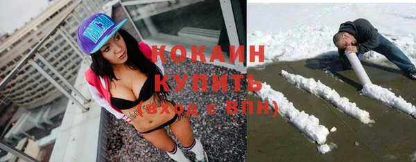 дживик Кулебаки