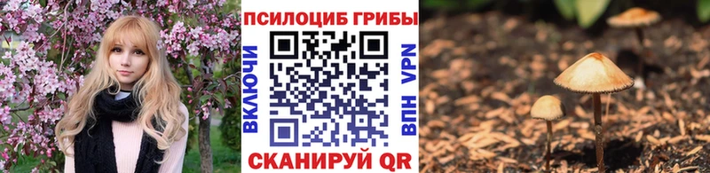 Псилоцибиновые грибы GOLDEN TEACHER  Егорьевск 