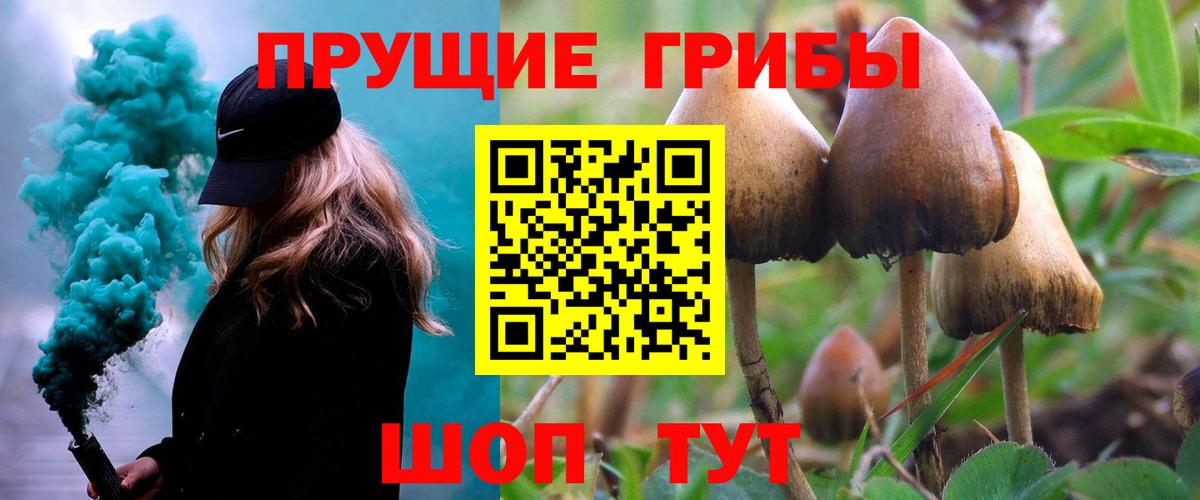 Псилоцибиновые грибы Cubensis Егорьевск