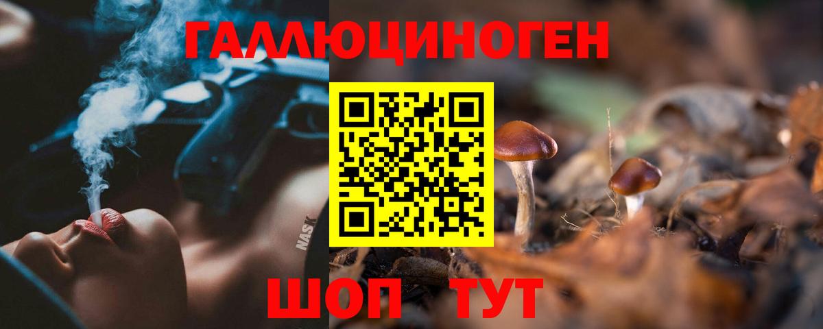 Псилоцибиновые грибы Magic Shrooms  Егорьевск  Псилоцибиновые грибы Magic Shrooms 